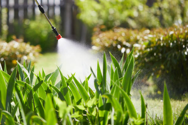 Tamper-Resistant Bait Stations for Rodents in Shady Spring