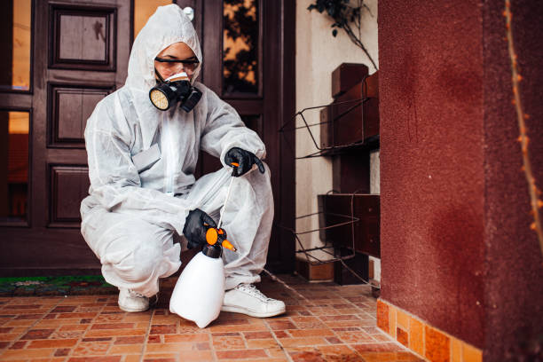 Attic and Crawl Space Rodent Treatment in Shady Spring