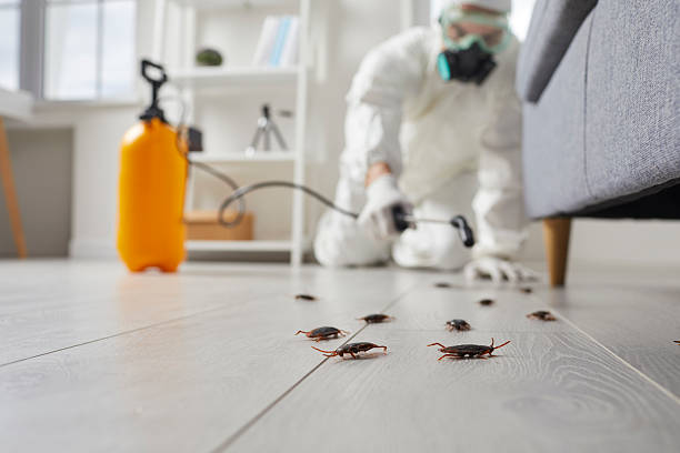 Commercial Rodent Management in Shady Spring